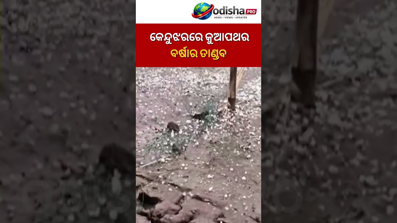 🔴Hailstorm in Keonjhar || #Keonjhar #OdishaproNews
