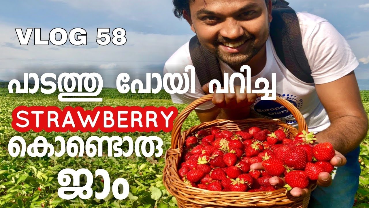 AUSTRIA STRAWBERRY FARM IN A VILLAGE & COOKING  JAM  -Austria Europe Malayalam Food and Travel Guide