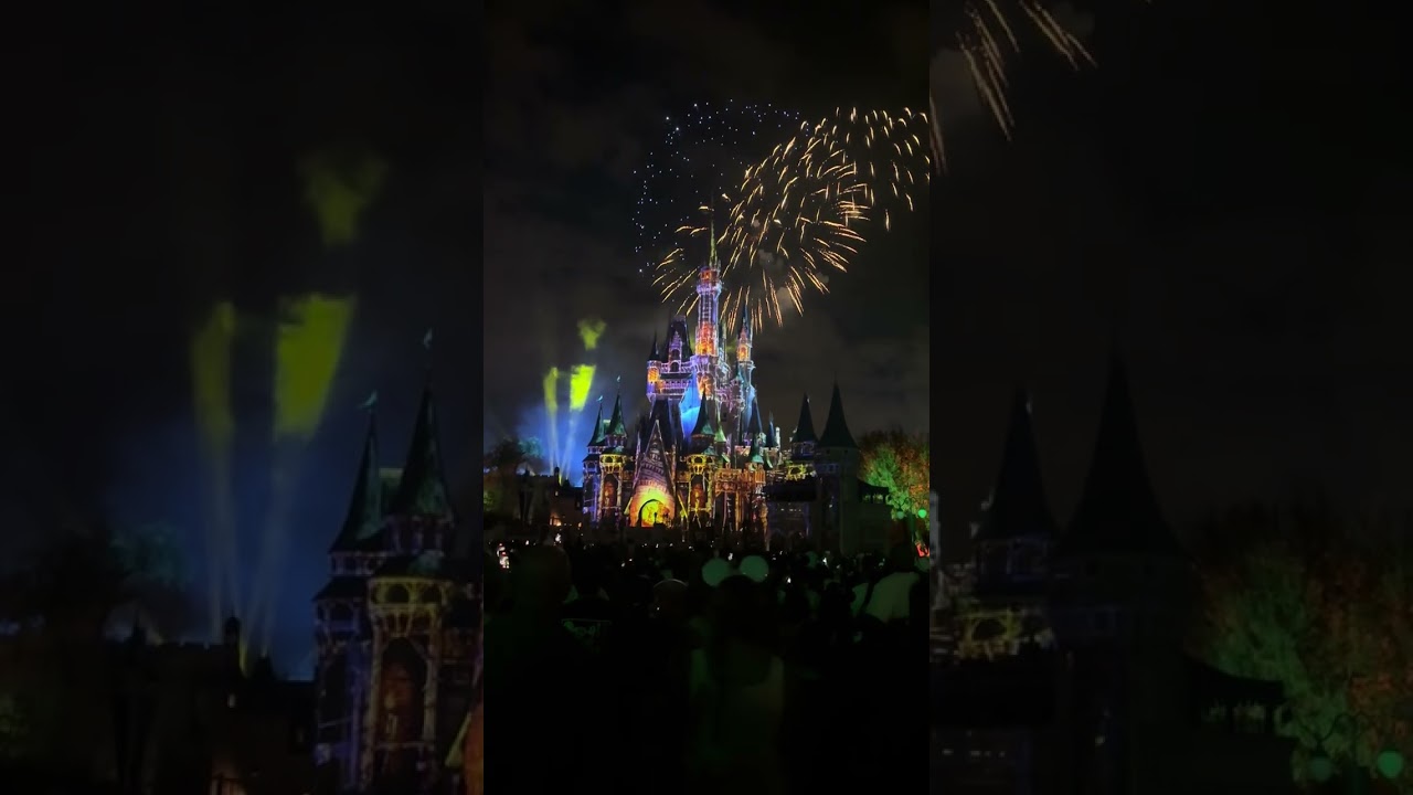 Magic Kingdom Happily Ever After firework show 3/2026