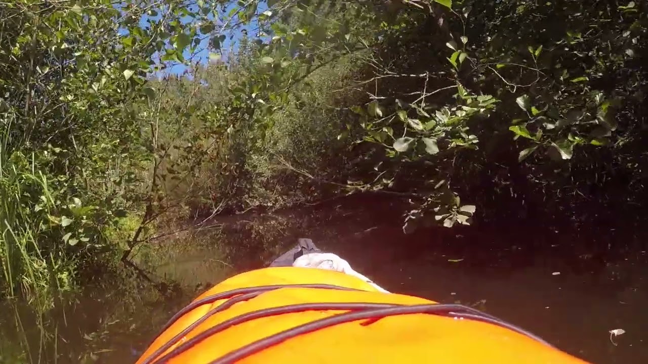 Kayak sul Lago di Viverone