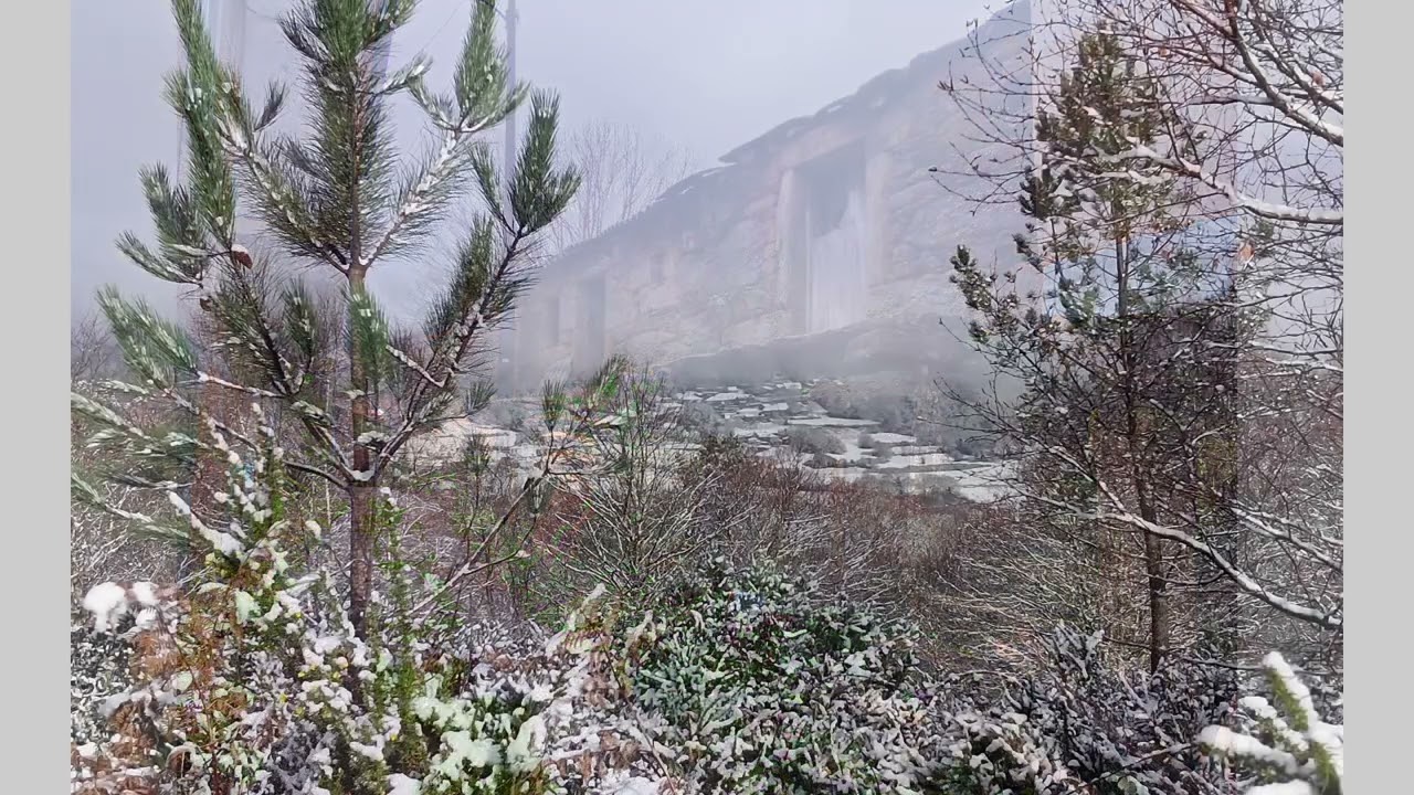 Canto de reis en Alén.