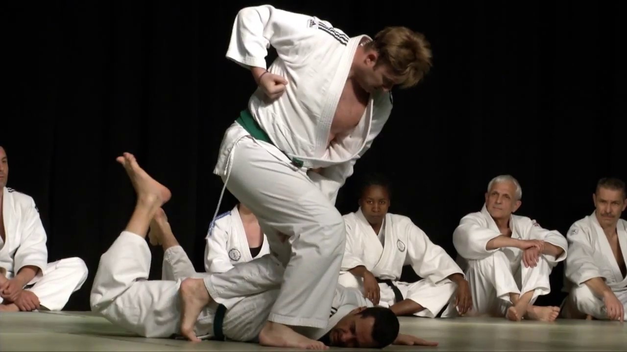 Gala des Arts Martiaux d'Aucamville 2015 - Jujitsu