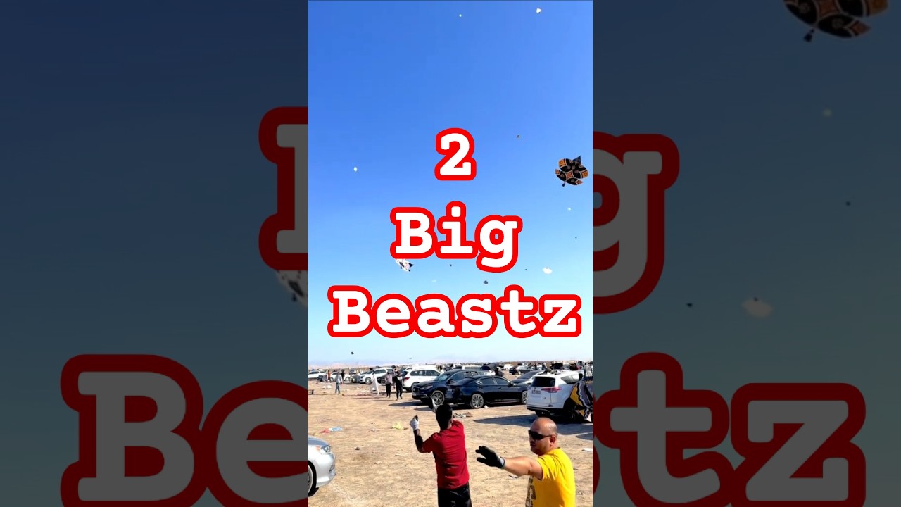 2 Big Beasts in Sky #basantinternational #basantfestival #kite