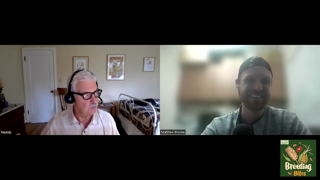 NAPB Education Podcast - Patrick Hayes