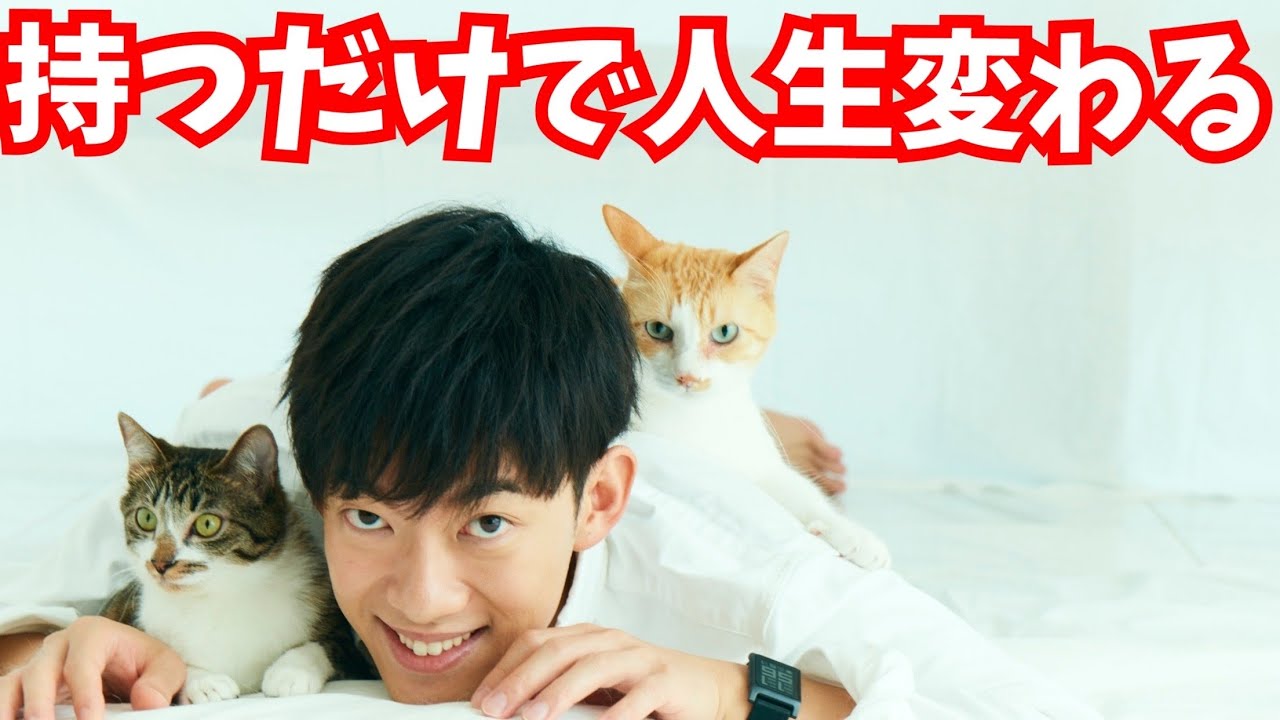 持つだけで人生変わるアレ
