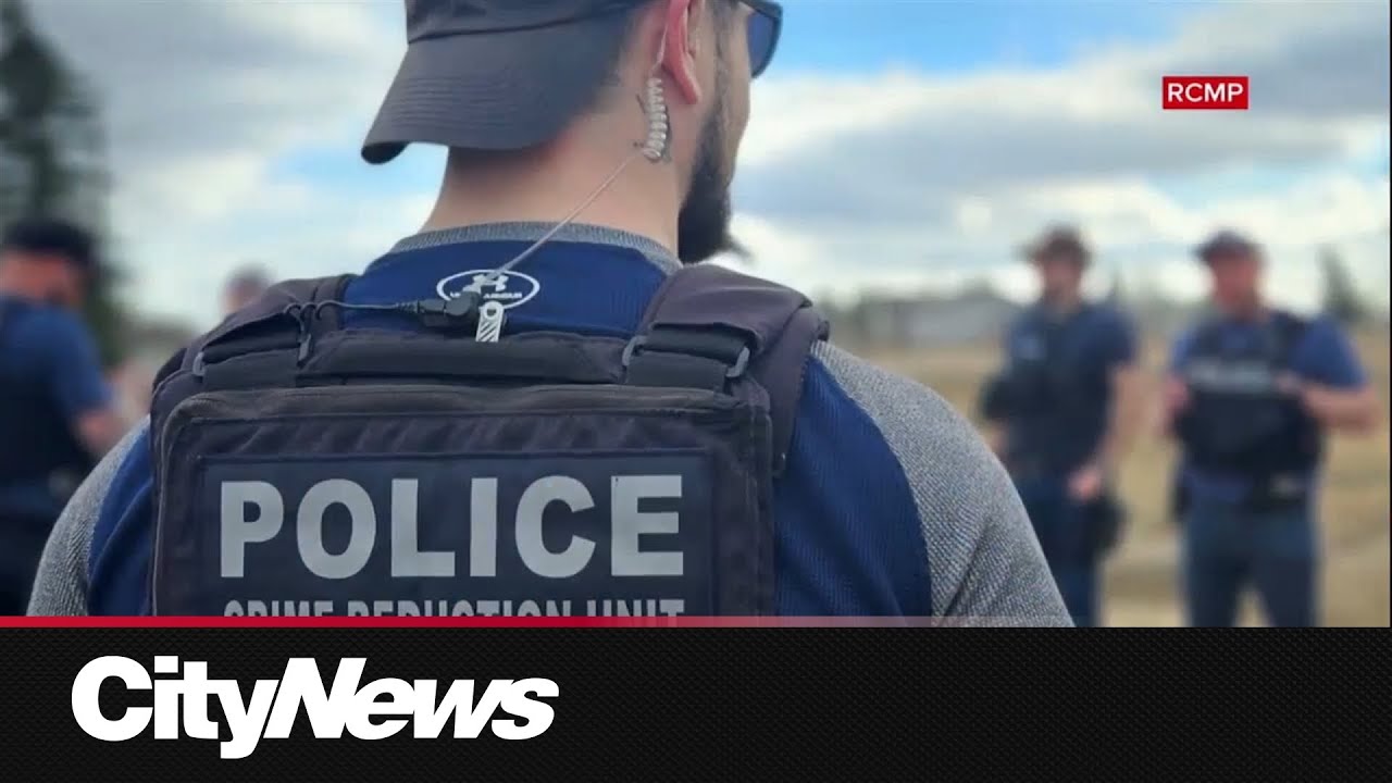 Конная полиция Альберты арестовала 88 опасных преступников в ходе совместной операции с шерифами ...