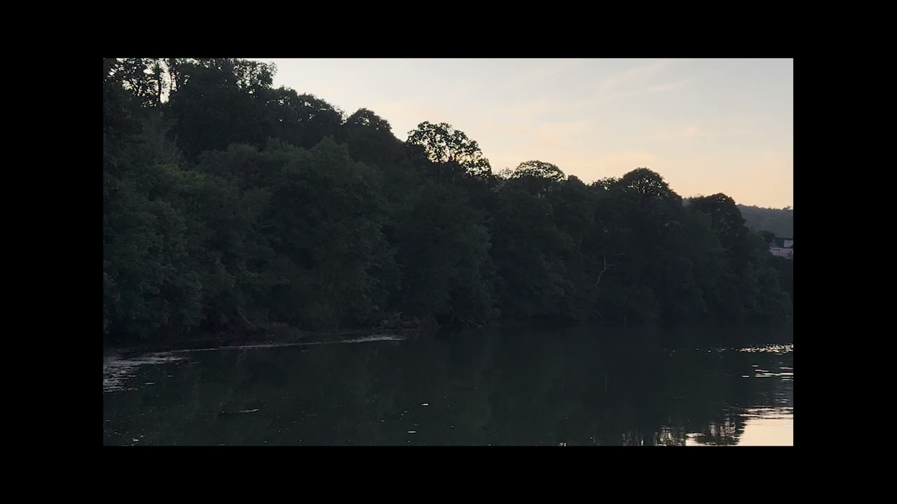 Racing Swans on the Teifi | A reading from Love Letters on the River by Carly Holmes