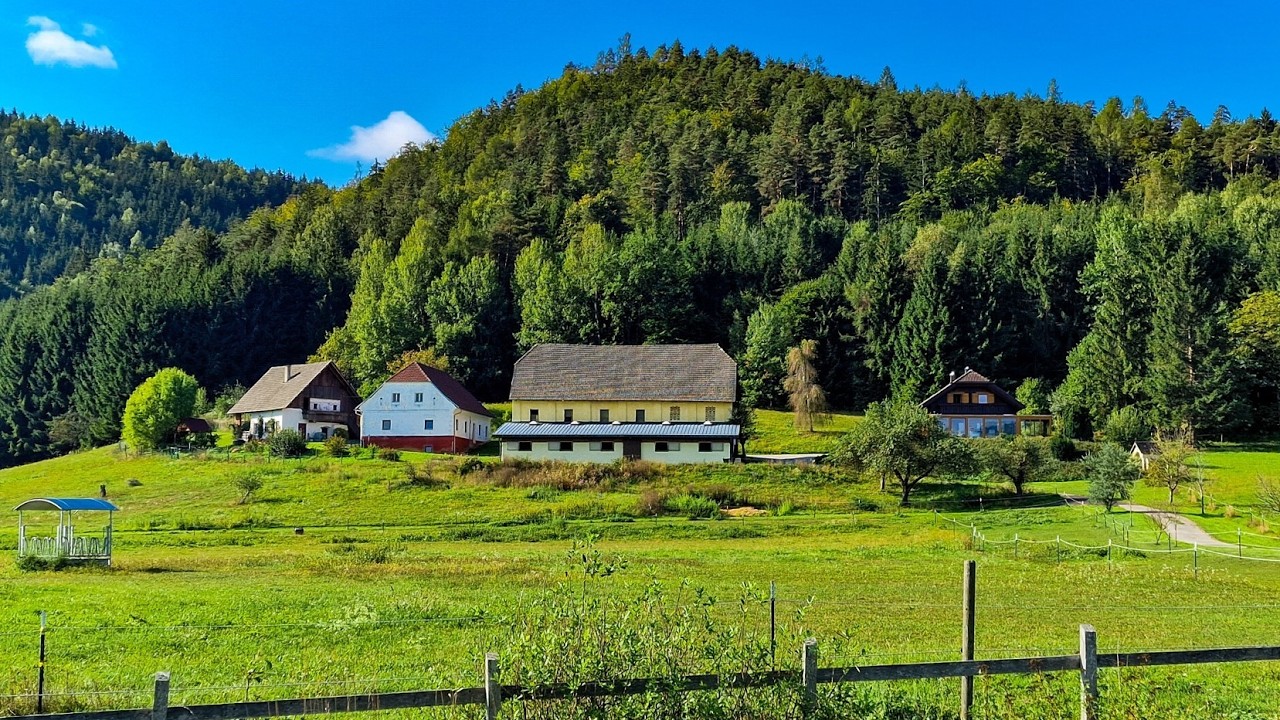 Ein Pferdeparadies der Extraklasse! Arrondierte Landwirtschaft mit Reitanlage und hohem Wohnkomfort