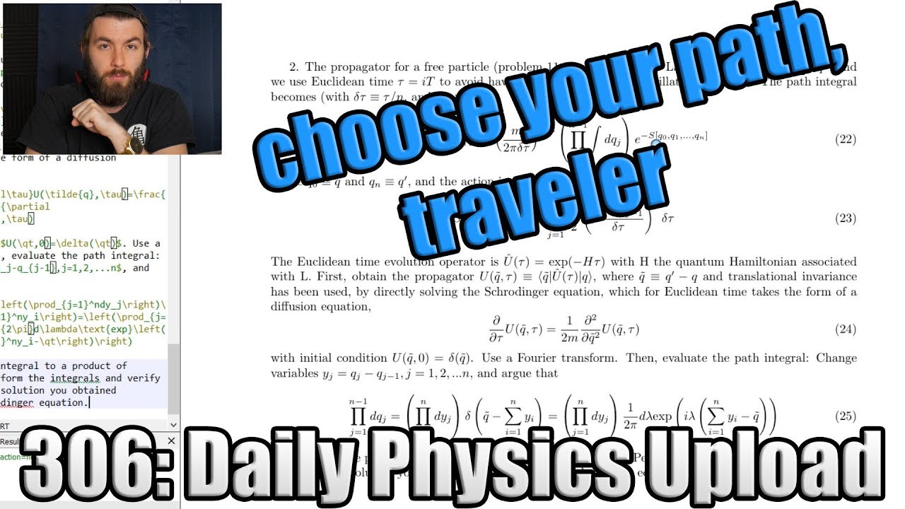 What A Path Integral Problem Looks Like In Quantum Mechanics