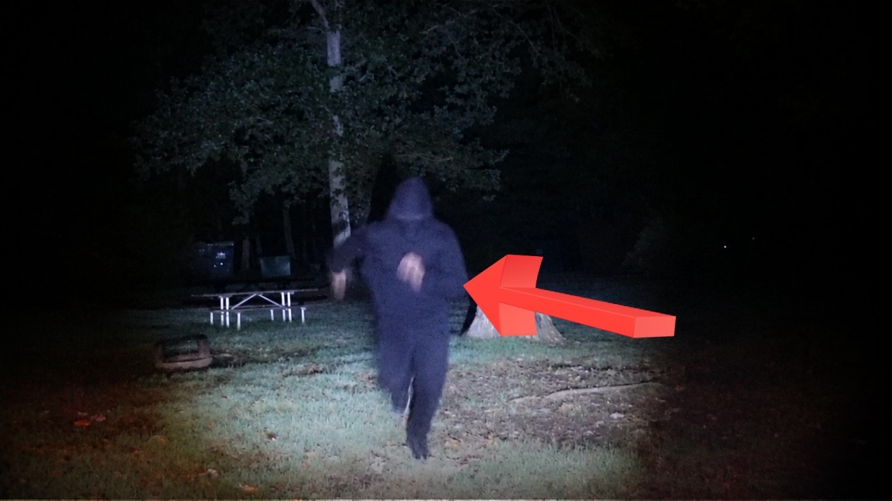 6 Unsettling Woodland Encounters Nobody Should Watch Alone