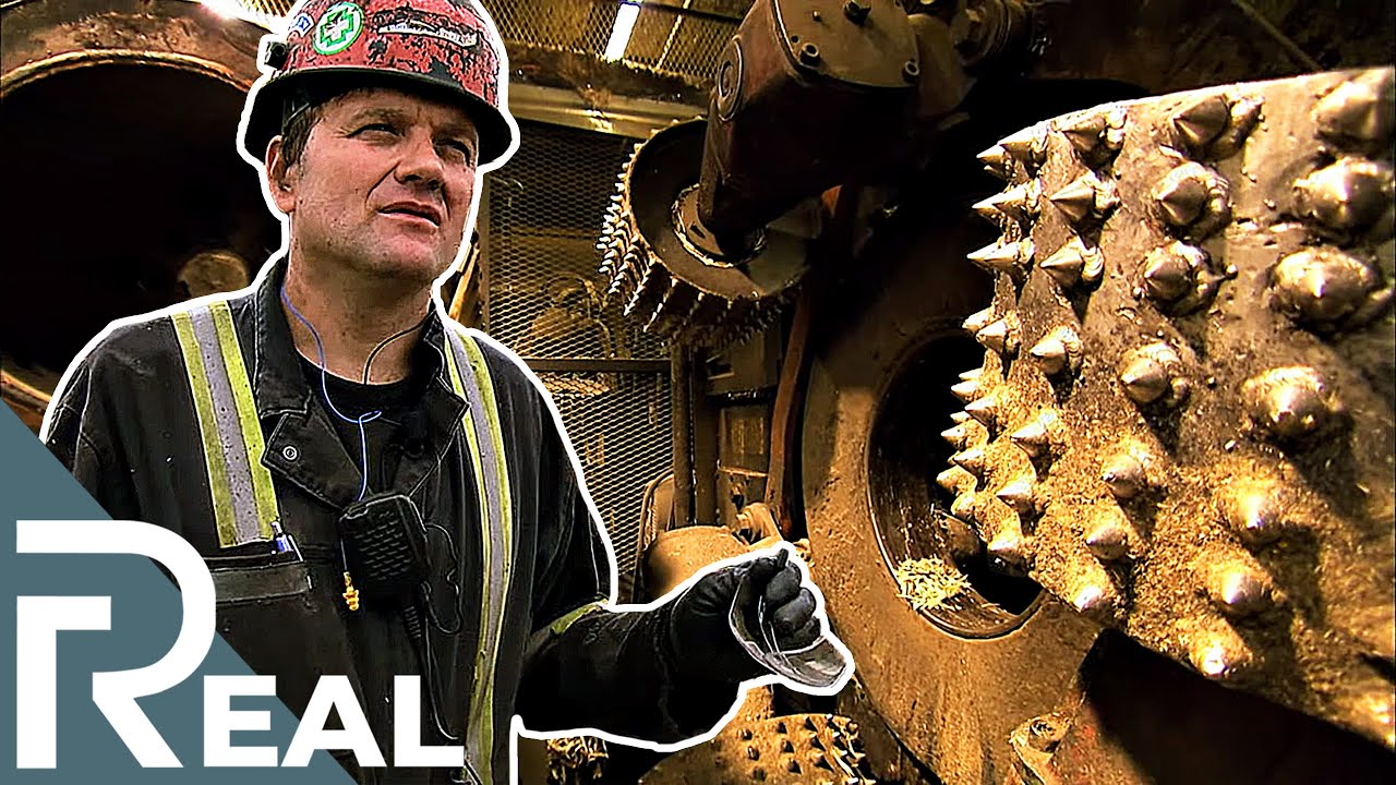 Nerves of Steel | Episode 3 | Forest Worker | FD Real Show