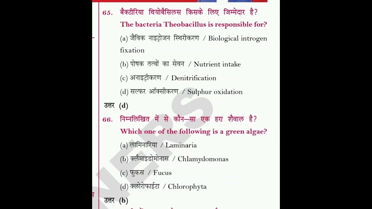 mp tet varg 3 #winnersinstitute #mptetvarg3book