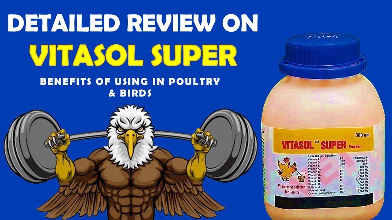 Detailed Review On Vitasol Super Multivitamin Supplement | Benefits Of Using In Poultry & Birds