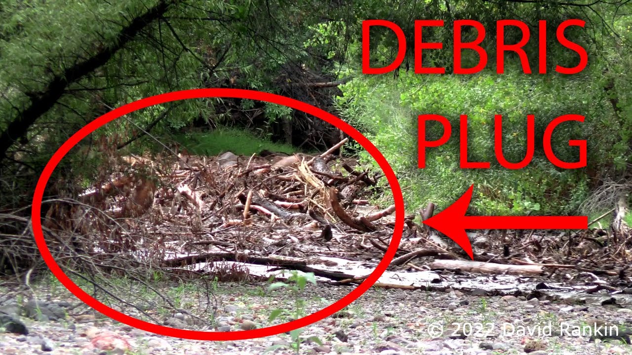 Huge Debris Flow Flash Flood in Aravaipa Canyon, AZ. July 28th, 2022