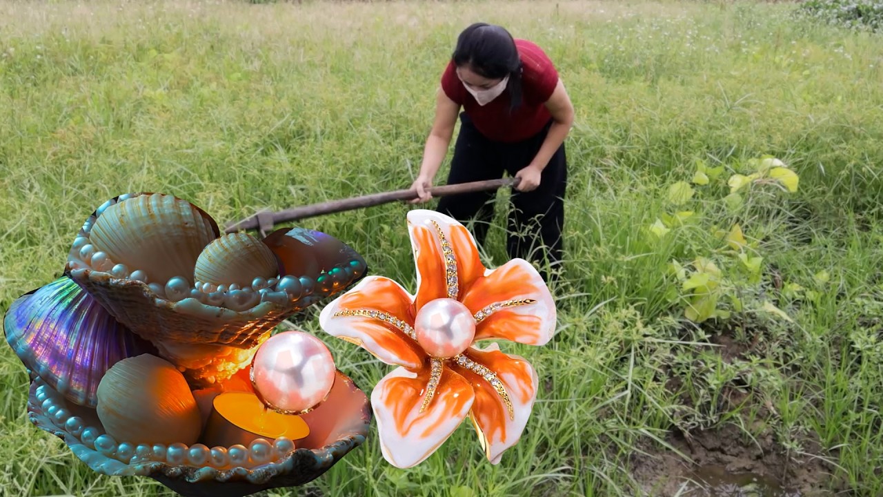 So all the clams and oysters are gathered here, come and take them home quickly