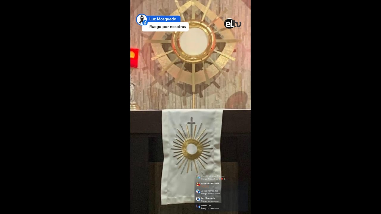 SANTO ROSARIO Misterios Gozosos. 📱