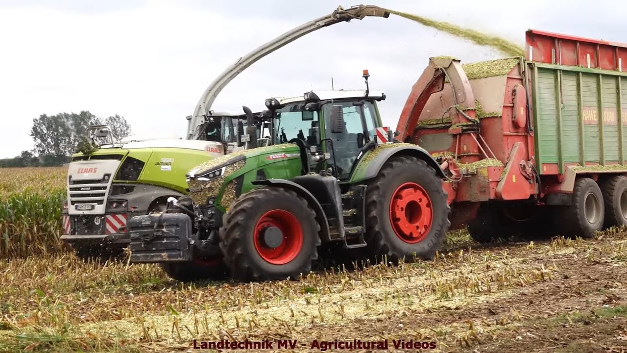 Claas - Fendt - Hawe - Iveco - ++ / Maissilage - Silaging Maize