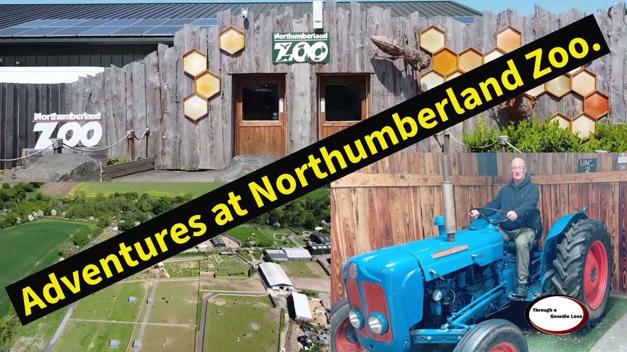 Northumberland Zoo, where the animal kingdom comes to life!