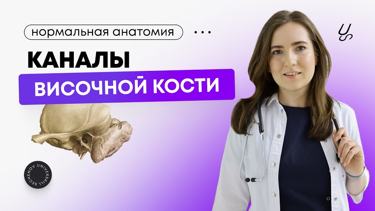 Анатомия | Как выучить каналы височной кости?