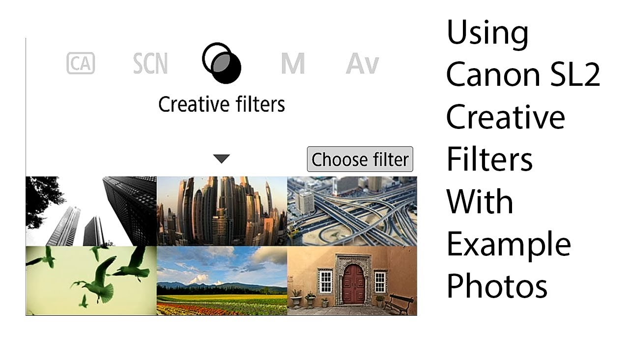Canon EOS Rebel SL2 / 200D - Using the Creative Filters with example photos