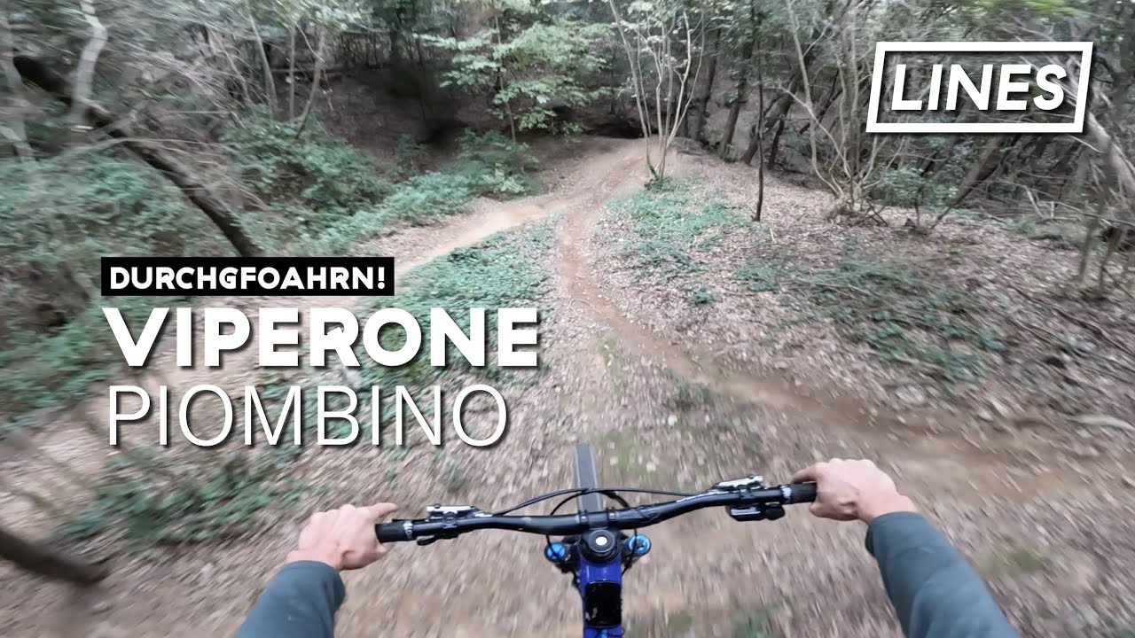 Viperone - Piombino  🇮🇹 | LINES