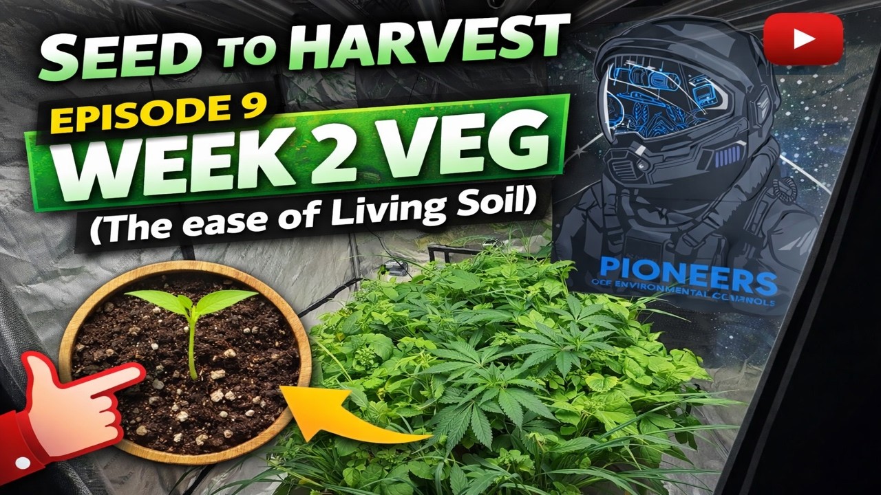 The Ease of Living Soil (Episode 9)