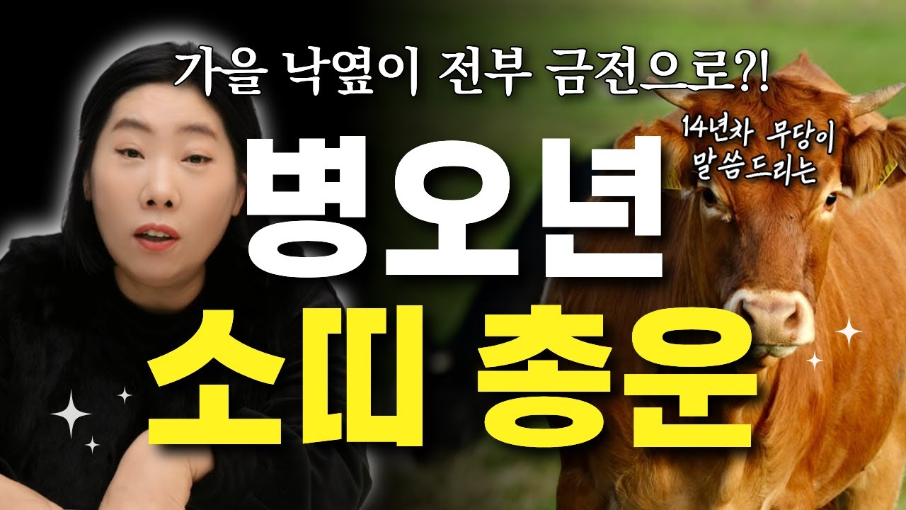 ⭐️2026년 병오년 소띠 총운⭐️ 14년차 무당이 알려주는 소띠운세~! [인천용한점집 천의신궁]