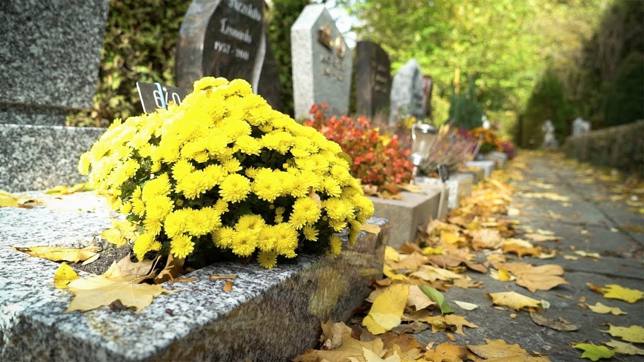 Cimetière, lieu de vie