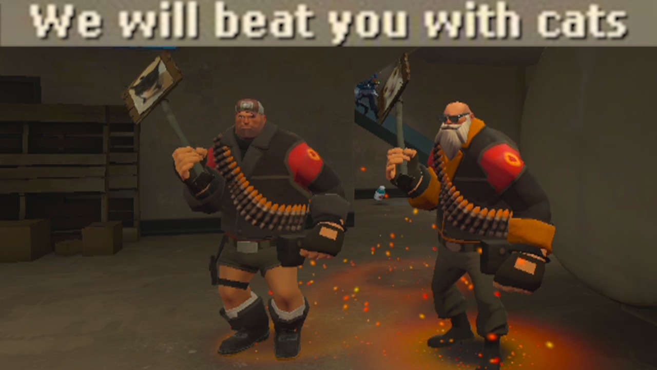 TF2 Players Have No Brain