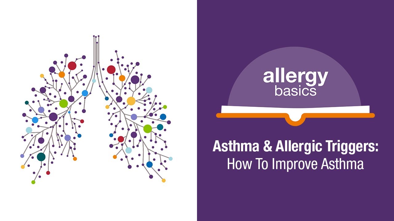 Asthma & Allergic Triggers: How To Improve Asthma Management | Allergy Insider