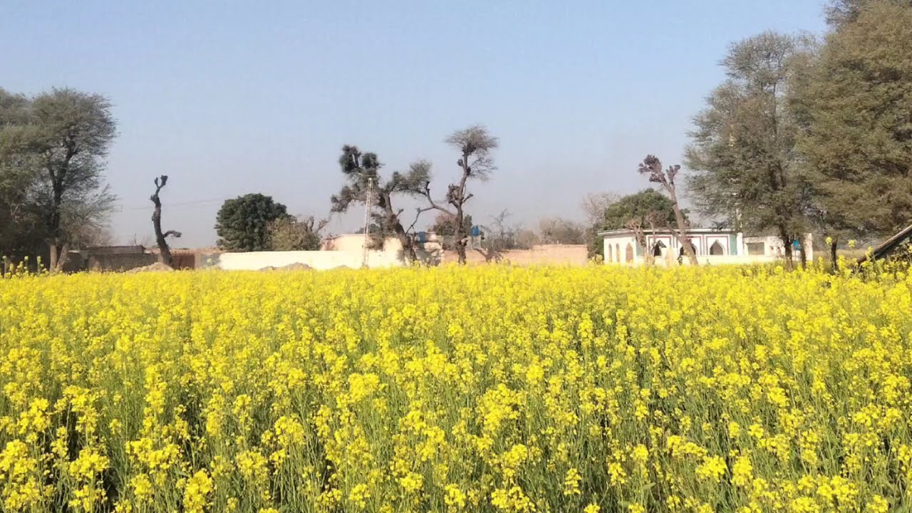 Imam Hussain (A.S) Aur Insaniyat Se Mohabbat