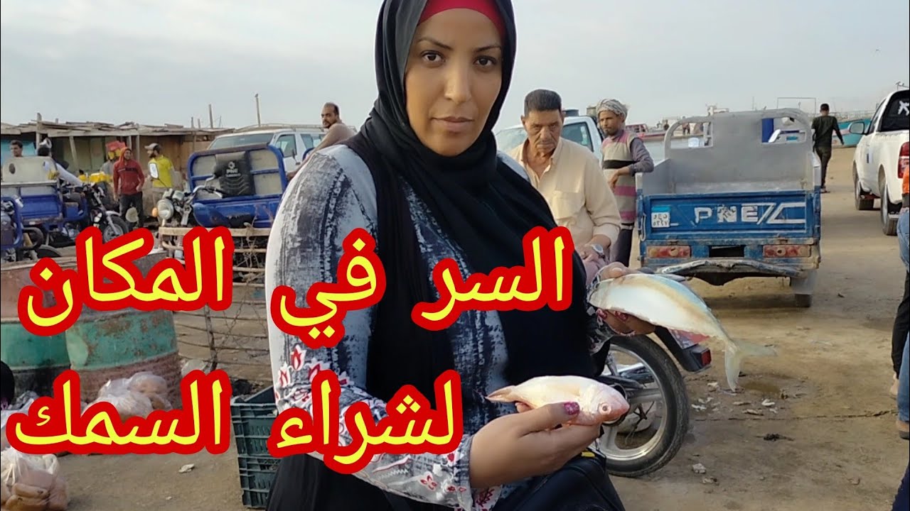 جولة لمشاهدة وشراء الأسماك  من مزادات ف ميناء الازء وراء قرية الحجاج