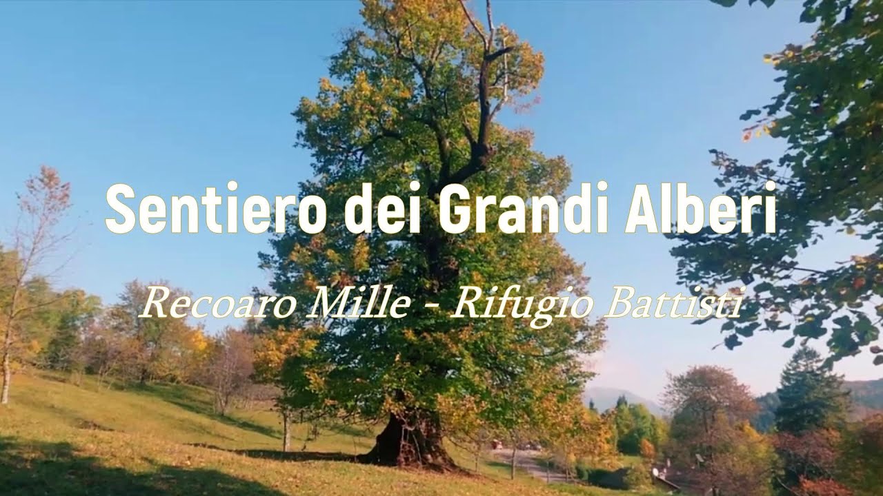Sentiero dei Grandi Alberi - Da Recoaro Mille al Rifugio C. Battisti - Itinerari trekking panorami