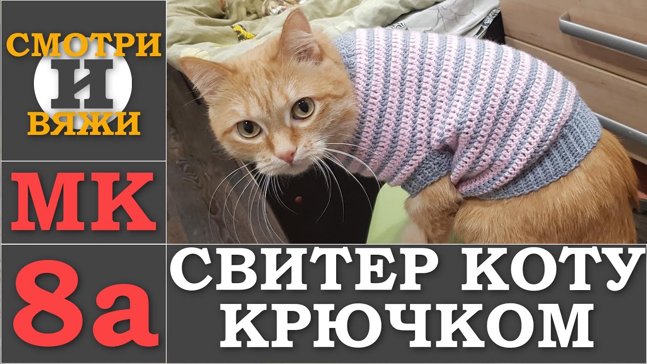 СВИТЕР 👕 ДЛЯ КОТА 😺 КРЮЧКОМ 8а МК видео в 2к разрешении.