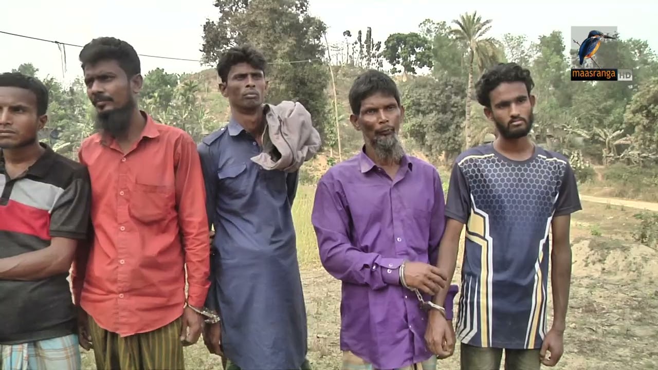 জঙ্গল সলিমপুরে যৌথ অভিযানে আটক ১২ | Maasranga News