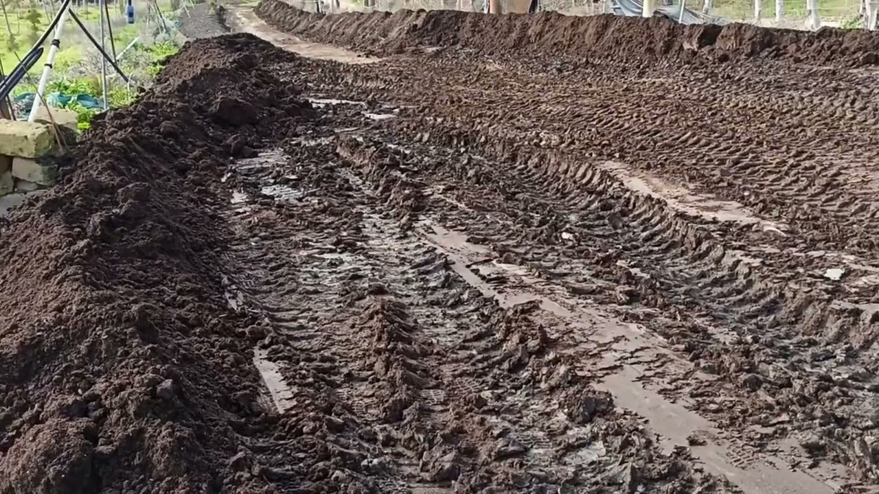 come viene raccolto l'humus dalle lettiere posizionate all'aperto sul terreno