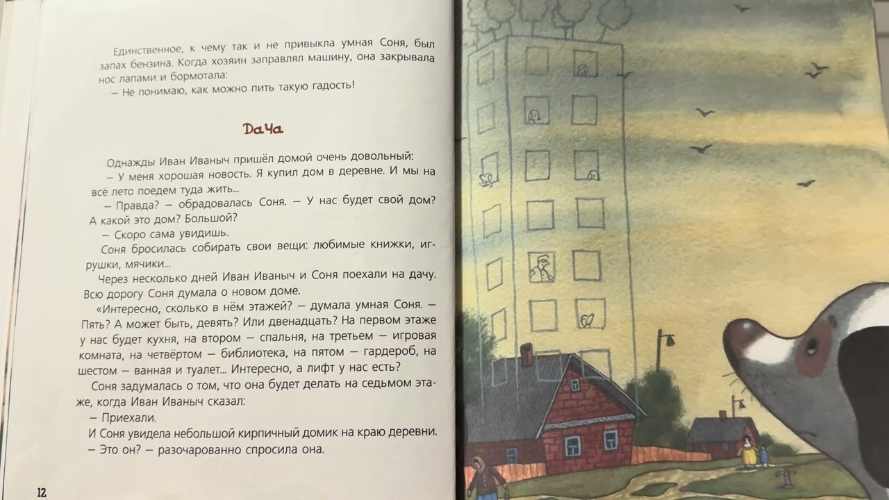 Собачка Соня на даче. Дача.