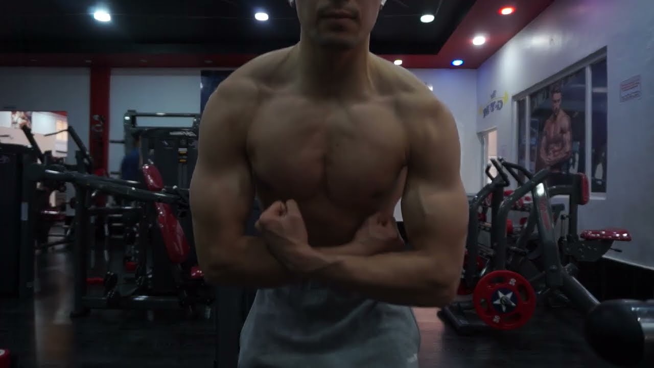 Starting My Aesthetic Journey | Push Day 