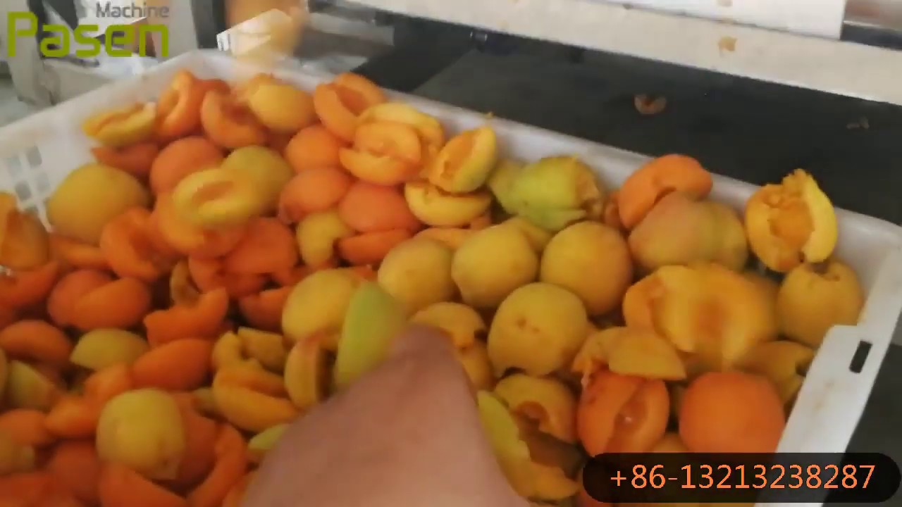 Apricot Pitting Cutting Machine from Vivian +86 13213238287