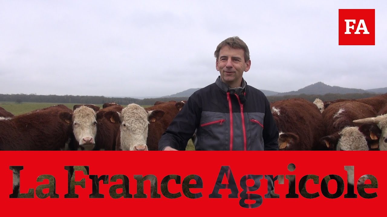 « Je finis mes génisses et mes vaches à l’herbe »
