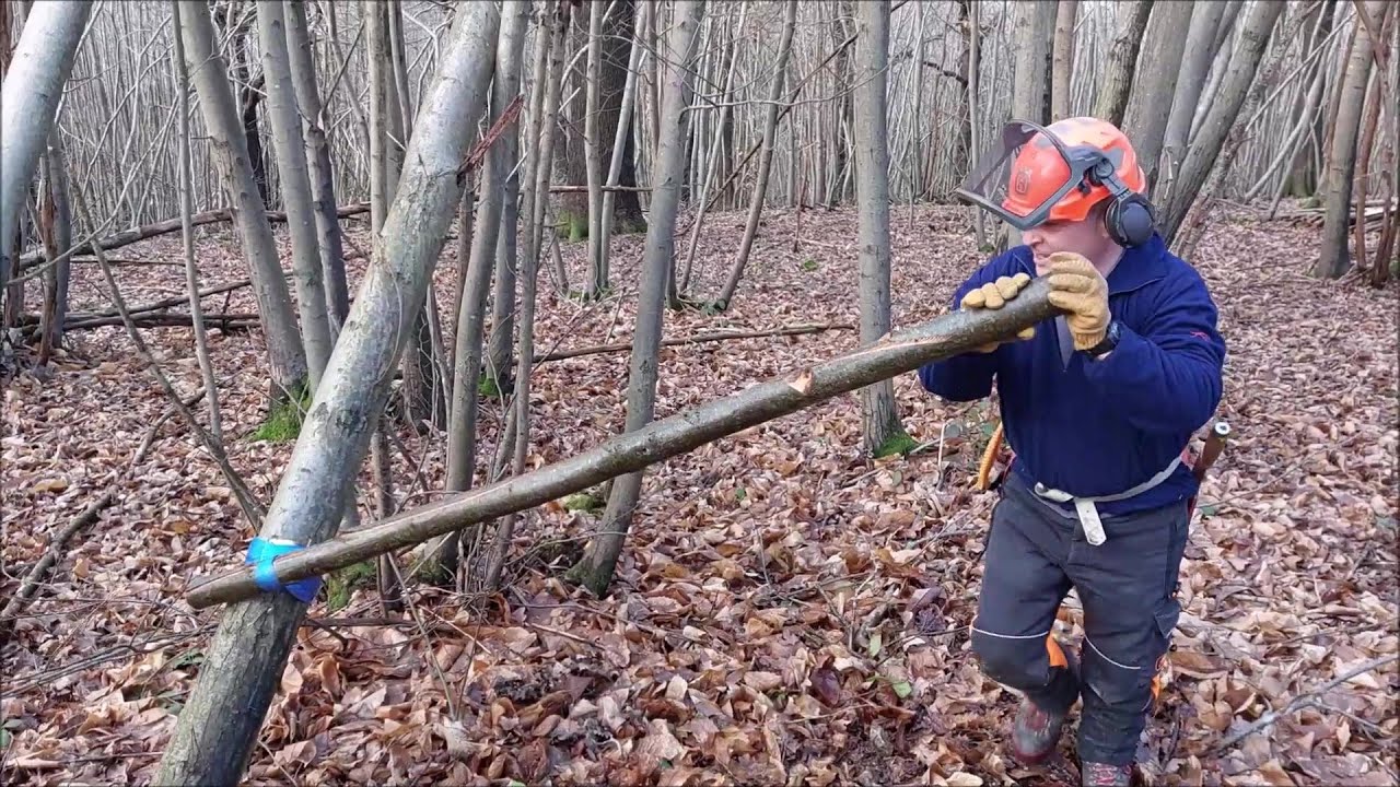 Bringing Down a Hung Up Tree with a Turning Strap