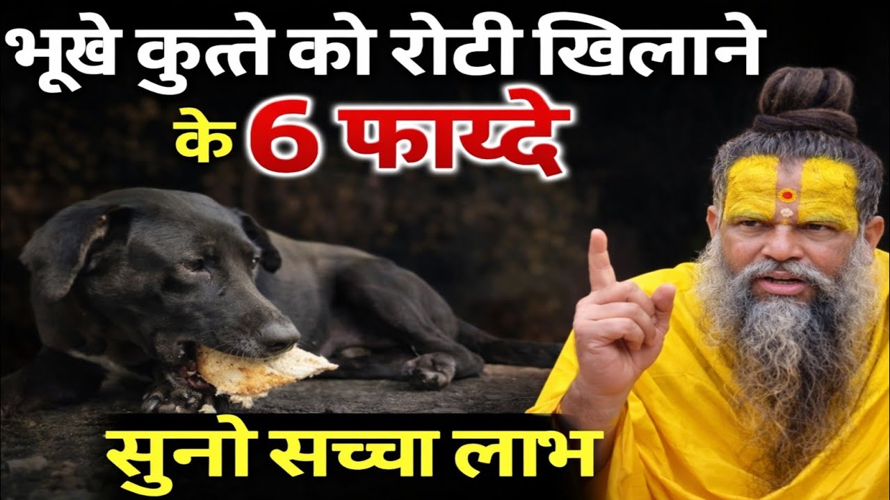 कुत्ते को रोटी देने के 8 अद्भुत फ़ायदे… जो किस्मत बदल देते हैं | Premanand Ji Maharaj