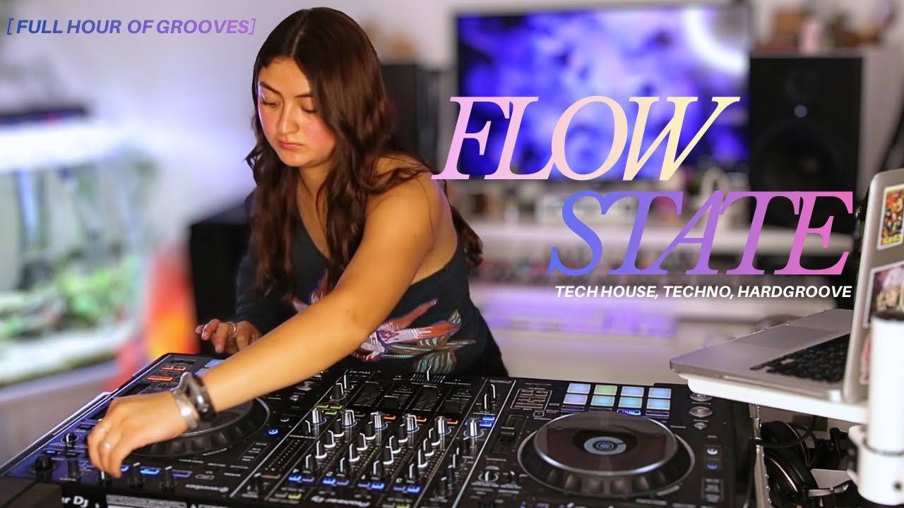 Synth Pop, Tech House, Techno, Hardgroove DJ Mix: A Deep Dive into My Track Selections