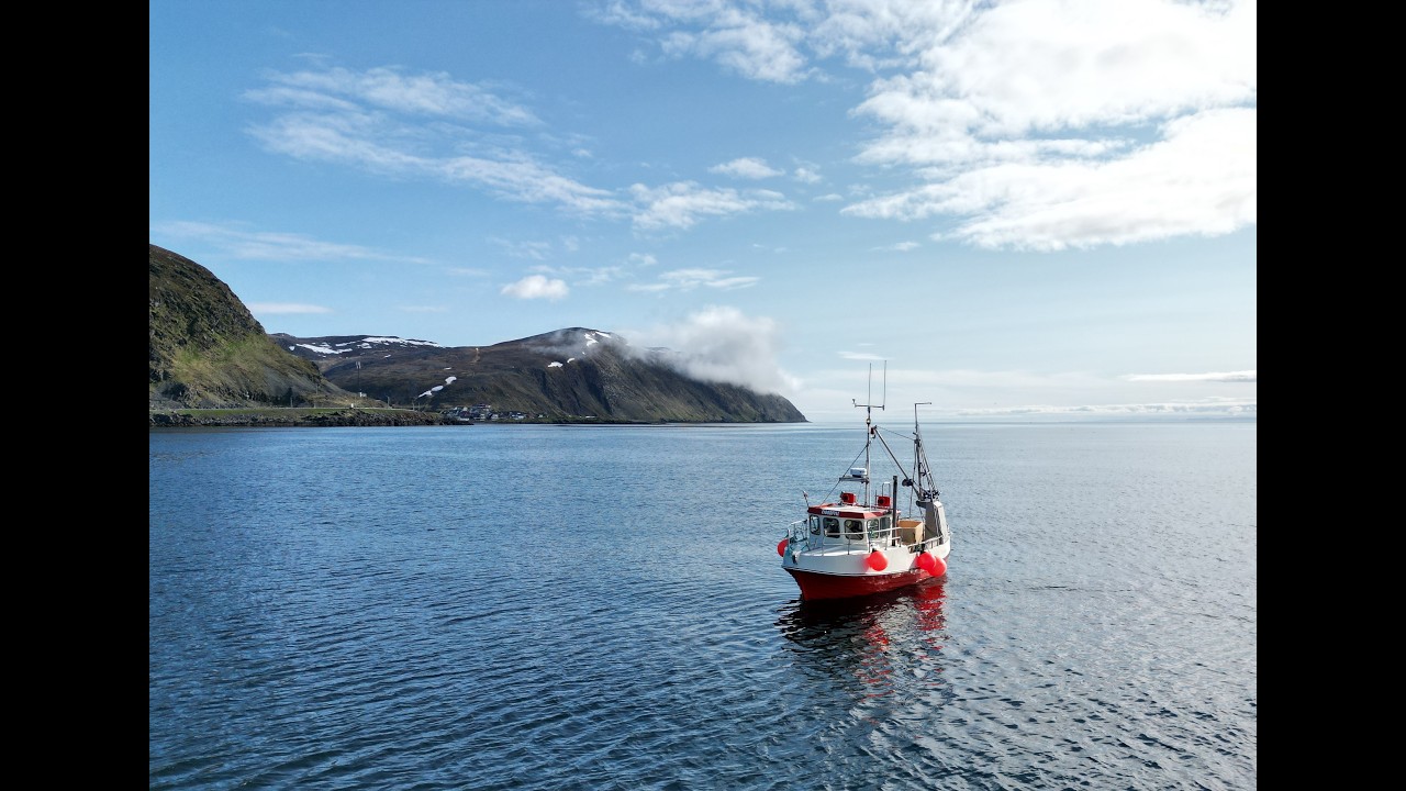 Grimsøy 26