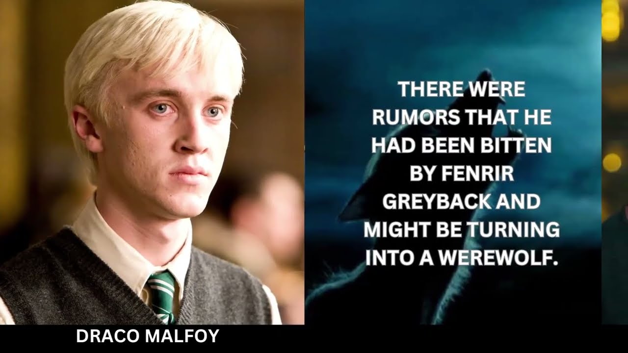 12 загадочных слухов о персонажах Гарри Поттера &mdash; секреты волшебного мира и сплетни из Хогвартса