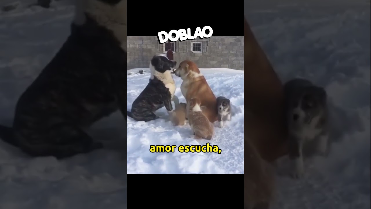 &iquest;Tai Enoj&aacute;? | #DOBLAO