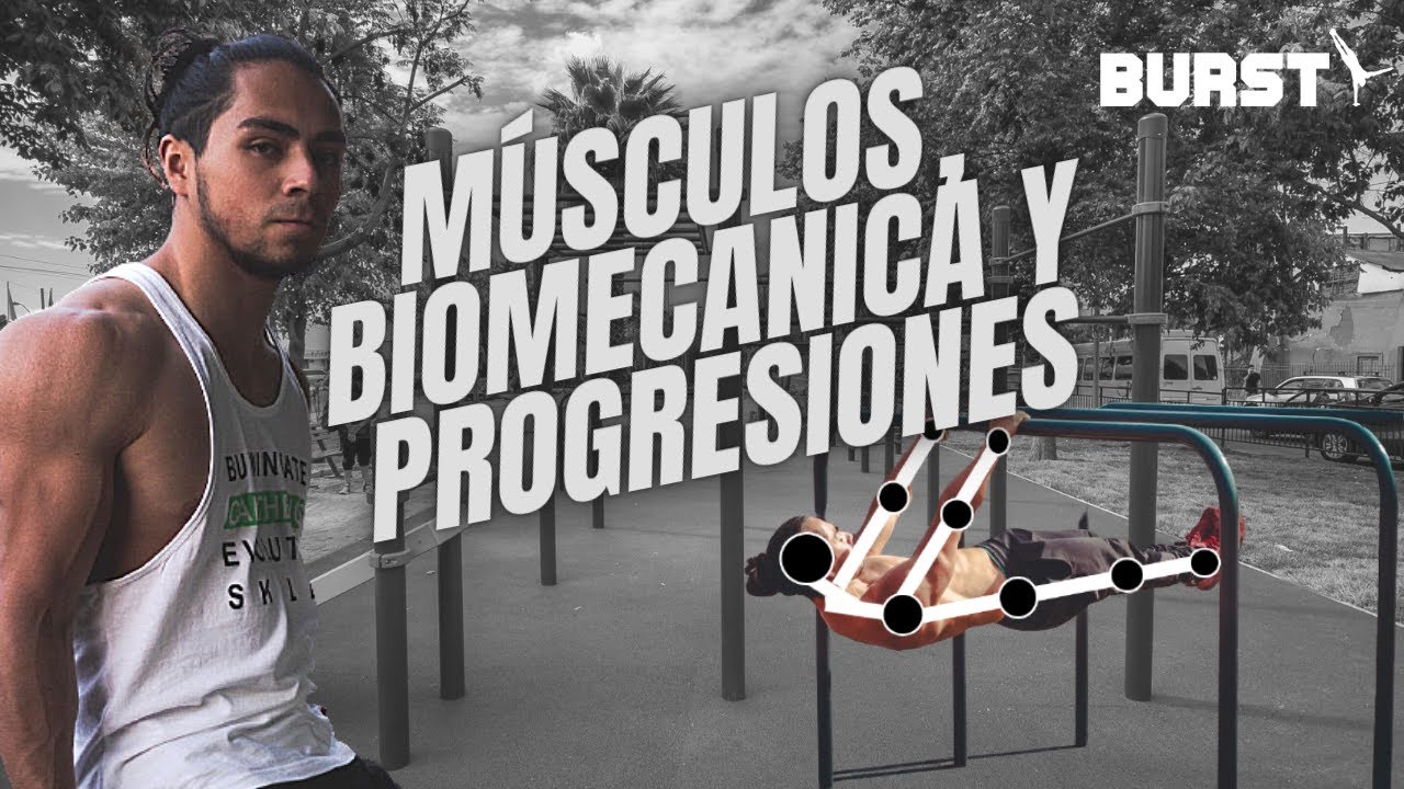 Como progresar en FRONT LEVER |  Músculos, biomecanica y progresiones | Con mani_workout