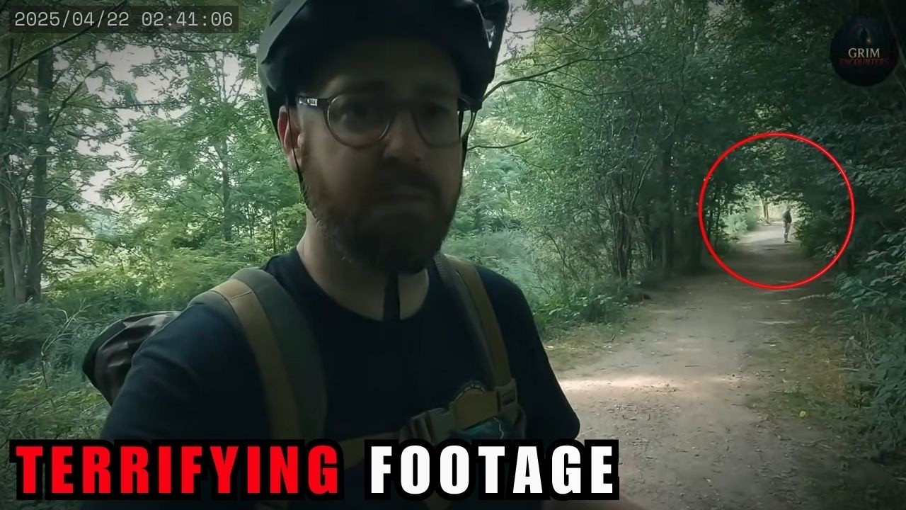 9 напряженных встреч в лесу, запечатленных на камеру