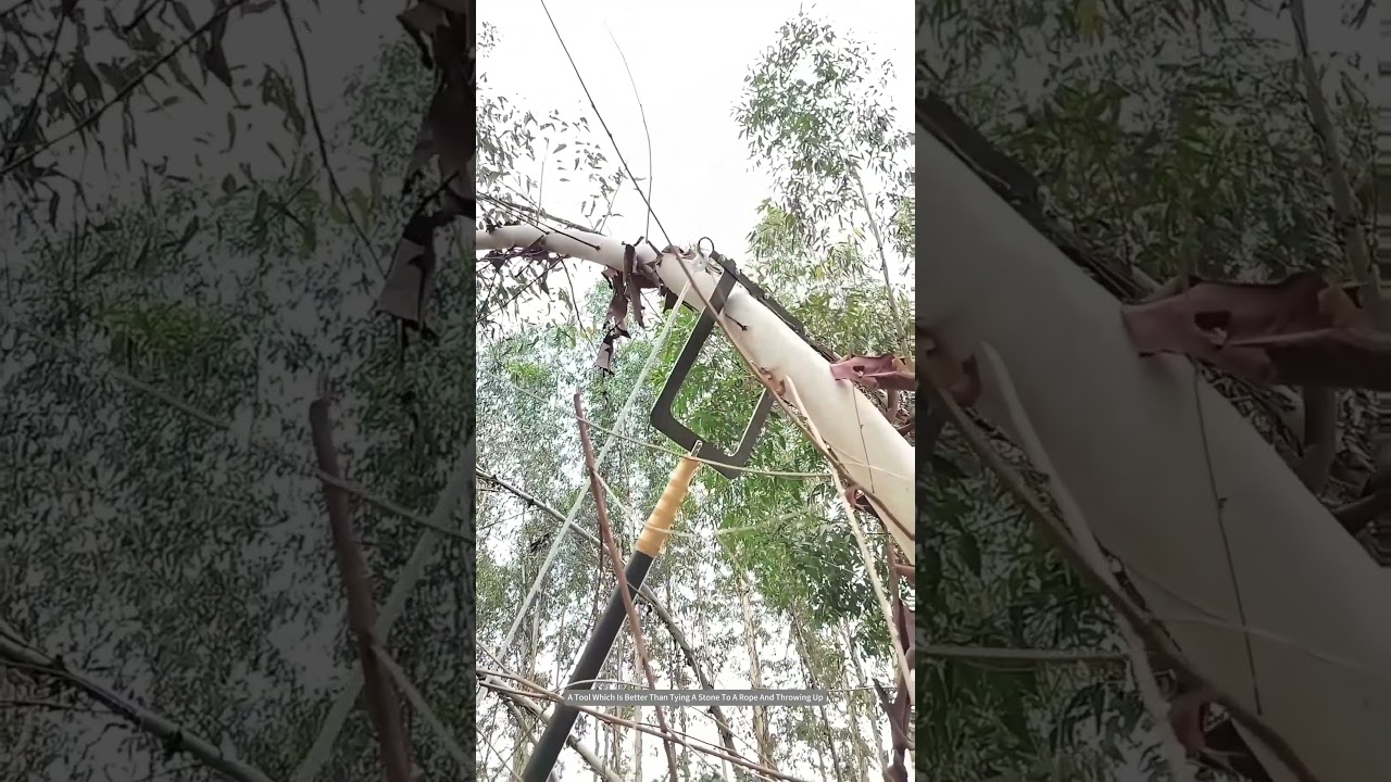 Tree Hanging Rope Gadget Working Process !