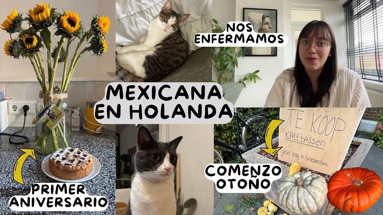 Nuestro PRIMER ANIVERSARIO | QUEDAMOS VESTIDOS Y ALBOROTADOS | hice CHICHARRÓN | Mexicana en Holanda
